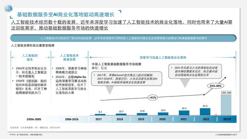 人工智能基礎數(shù)據(jù)服務與軟件開發(fā)白皮書